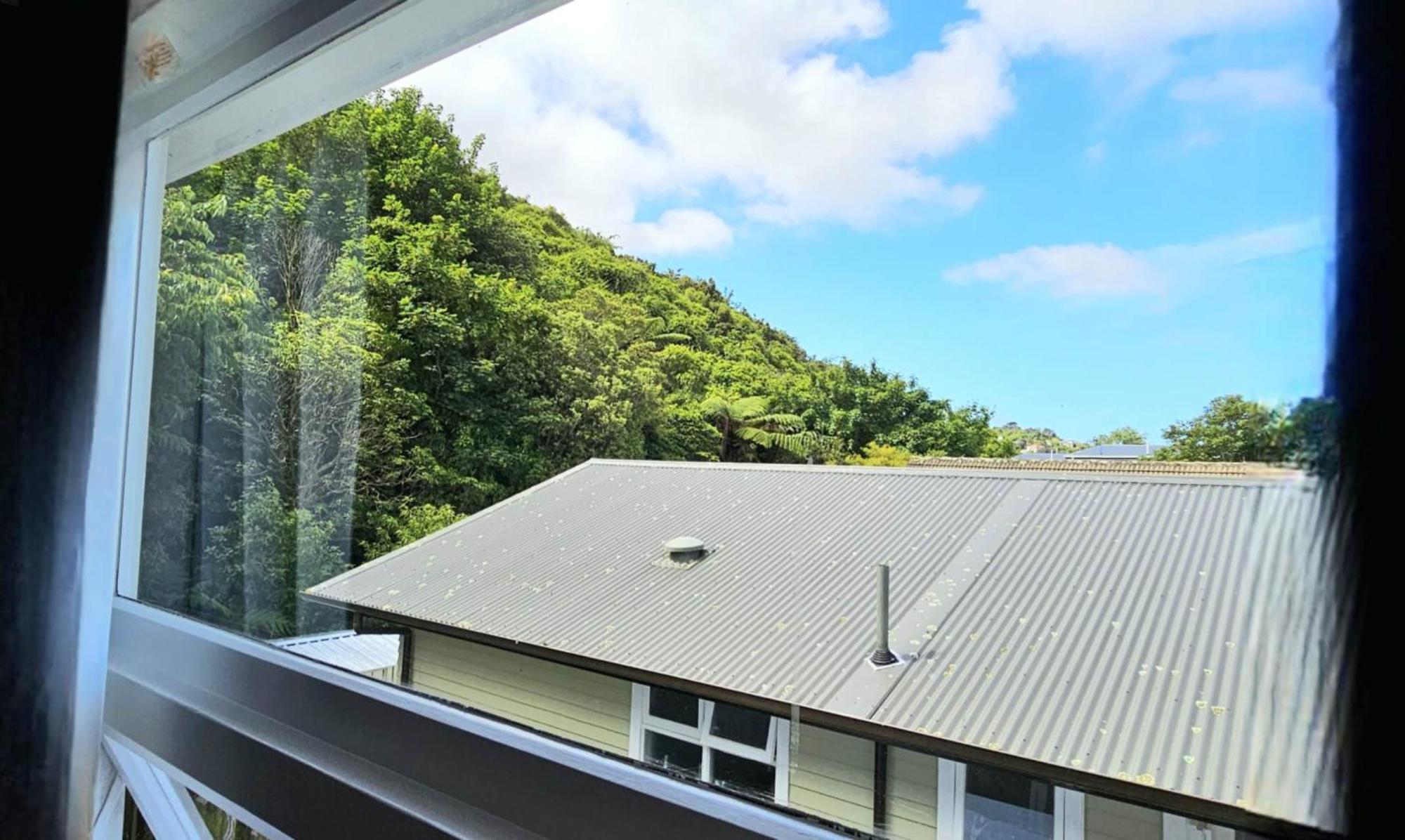 Bed and Breakfast Bridge & Birds Wellington Exteriér fotografie
